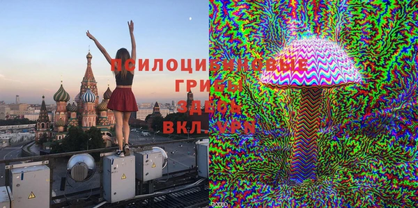 индика Заволжск