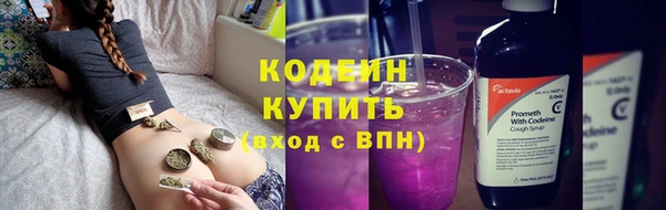 индика Заволжск