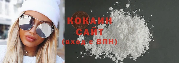 индика Заволжск