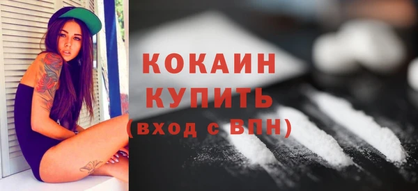 индика Заволжск