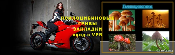 индика Заволжск