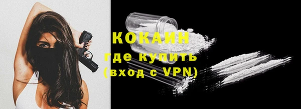 индика Заволжск