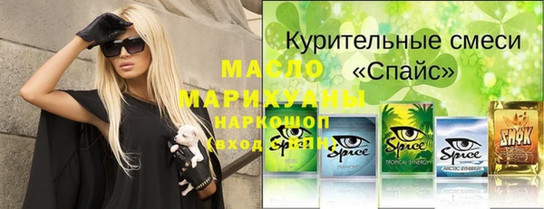 индика Заволжск