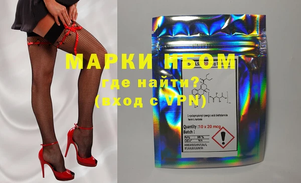 индика Заволжск